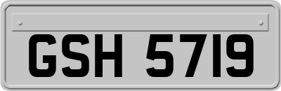 GSH5719