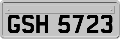 GSH5723