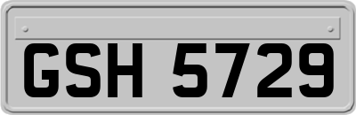 GSH5729