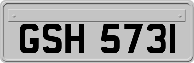 GSH5731