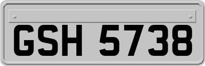 GSH5738