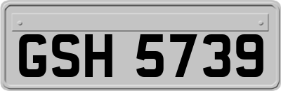 GSH5739