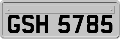 GSH5785