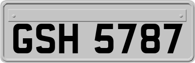 GSH5787