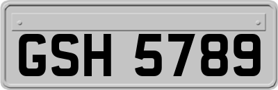 GSH5789