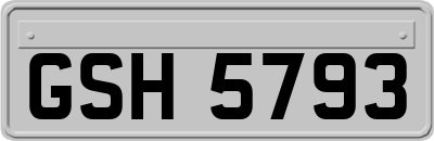 GSH5793