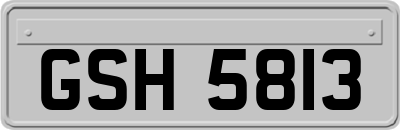 GSH5813