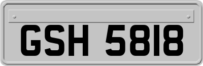 GSH5818