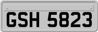 GSH5823