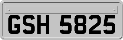 GSH5825