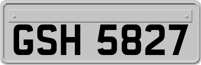 GSH5827