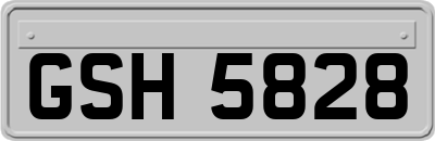 GSH5828