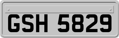 GSH5829