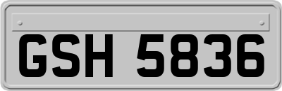 GSH5836