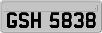 GSH5838