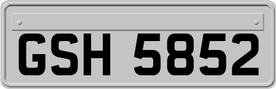 GSH5852