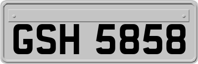 GSH5858