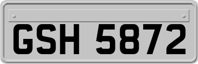 GSH5872