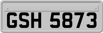 GSH5873