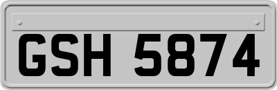 GSH5874