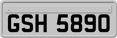 GSH5890