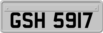 GSH5917