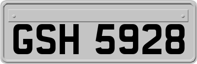 GSH5928