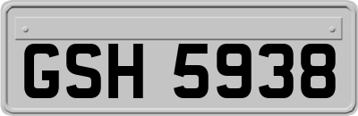 GSH5938