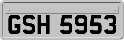 GSH5953
