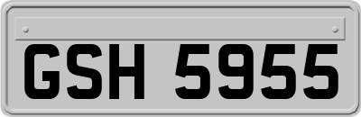 GSH5955