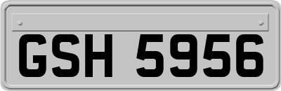 GSH5956