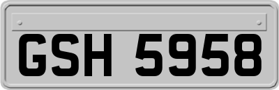 GSH5958