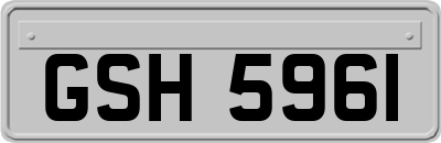 GSH5961