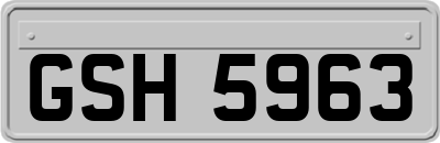 GSH5963