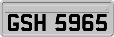 GSH5965