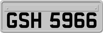 GSH5966