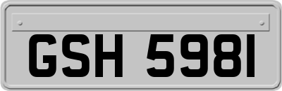 GSH5981