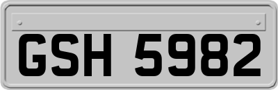 GSH5982
