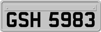 GSH5983