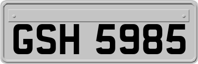 GSH5985