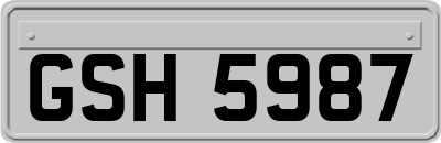 GSH5987