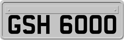 GSH6000