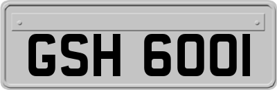 GSH6001