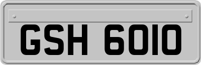 GSH6010