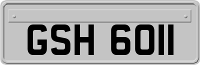GSH6011