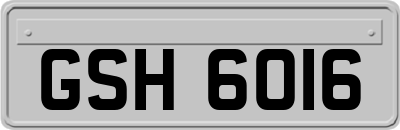 GSH6016
