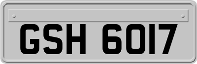 GSH6017