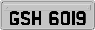 GSH6019