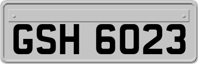 GSH6023