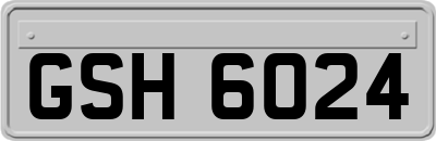 GSH6024